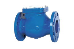 Non Slam (Nozzle) Check Valve